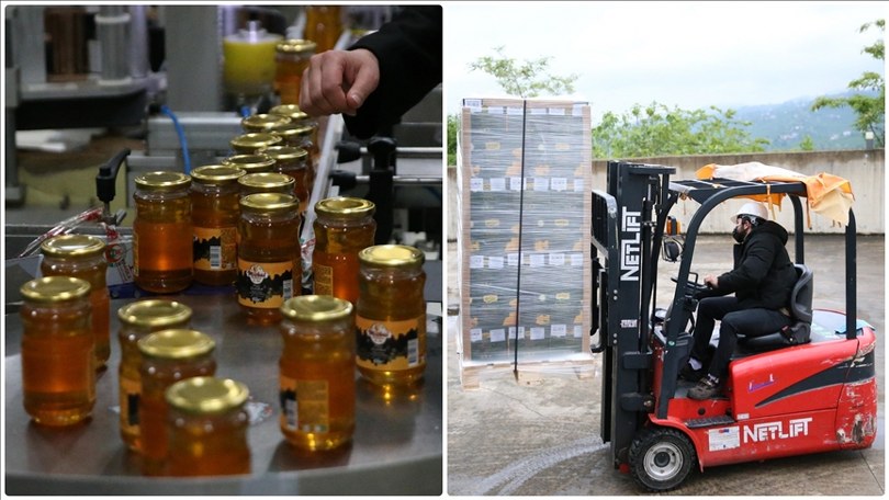 Türkiye’nin bal üretim şampiyonu Ordu’dan bin ton ihracat hedefi