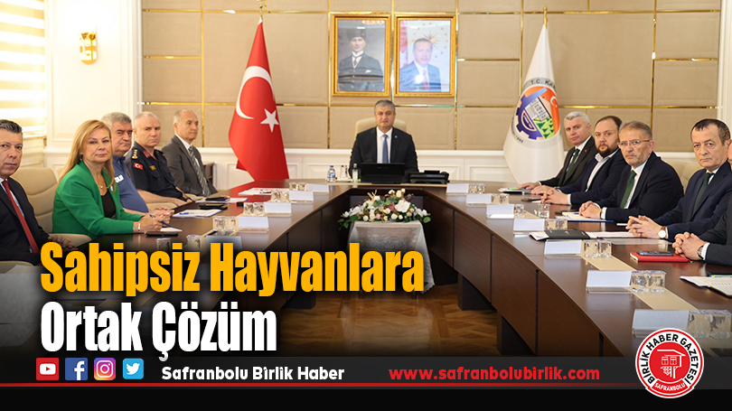 Sahipsiz Hayvanlara Ortak Çözüm