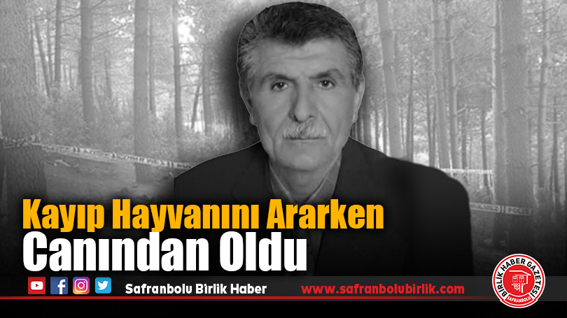 Kayıp Hayvanını Ararken Canından Oldu