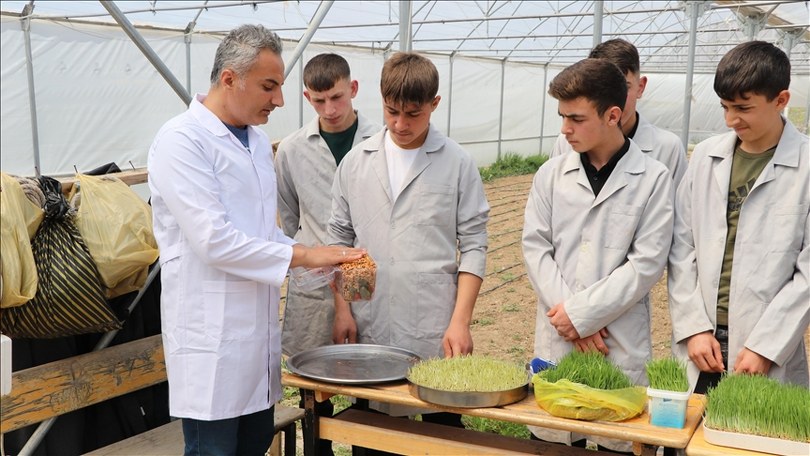 Öğrenciler topraksız tarımla elde ettikleri yeşil yemle hayvancılıkta maliyeti düşürmeyi hedefliyor