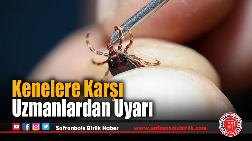 Uzmanından KKKA virüsü buluşturan kenelere karşı uyarılar