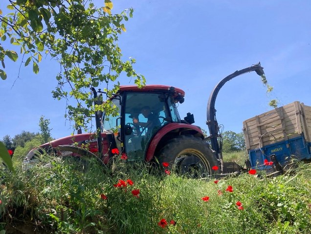 Kendi slajını üretti, süt veriminde rekor artış sağladı