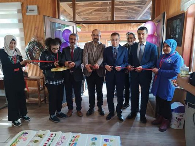 Tosya’da özel gereksinimli öğrenciler sergi açtı