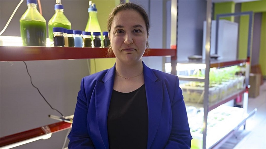 Alg biyoteknolojisi alanında faaliyet gösteren kadın girişimci yurt dışına açılmayı hedefliyor