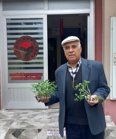 Hanönü’de 25 bin fide dağıtıldı