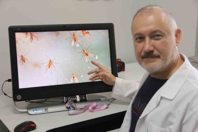 Uzmanlardan ’Yakarca’ uyarısı