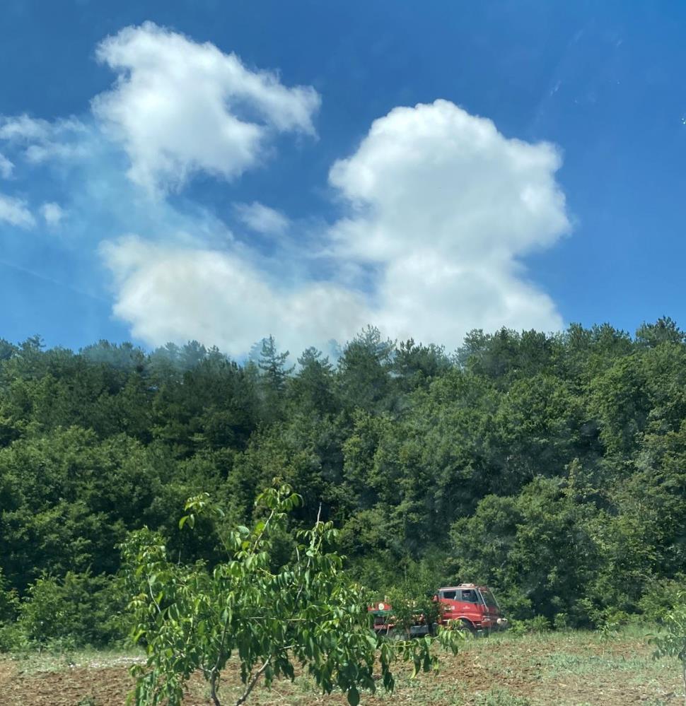 Bilecik’te yangın bölgesinde alevler yeniden yükseldi