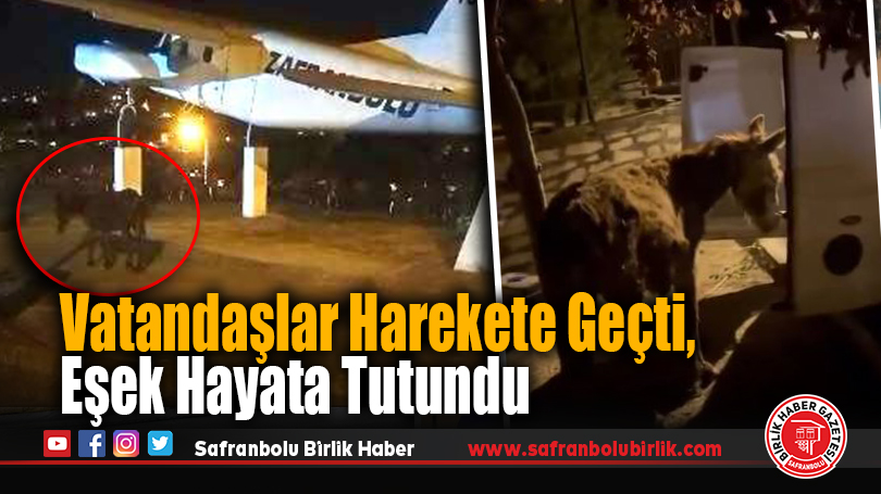 Vatandaşlar Harekete Geçti, Eşek Hayata Tutundu