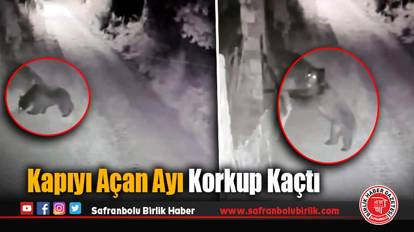 Kapıyı Açan Ayı Korkup Kaçtı