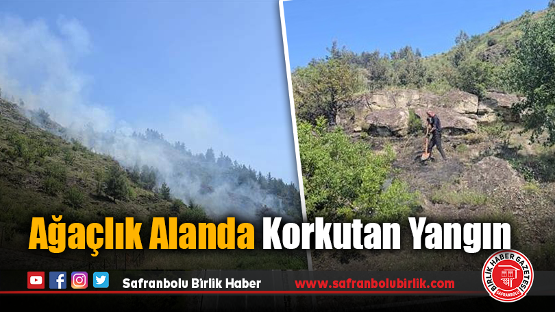 Karabük’te 3 Dekarlık Örtü Yangını