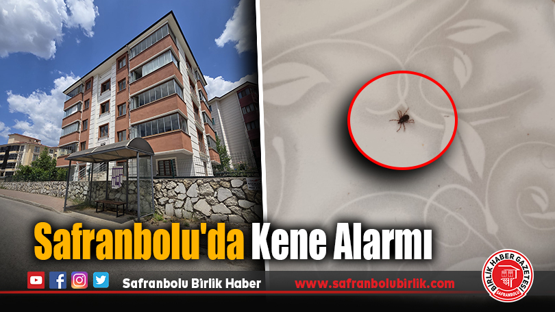 Safranbolu’da Kene Alarmı