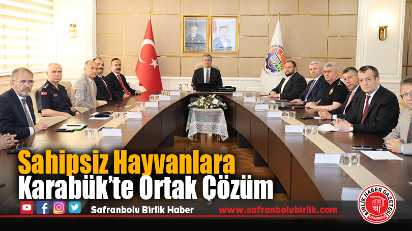 Sahipsiz Hayvanlara Karabük’te Ortak Çözüm