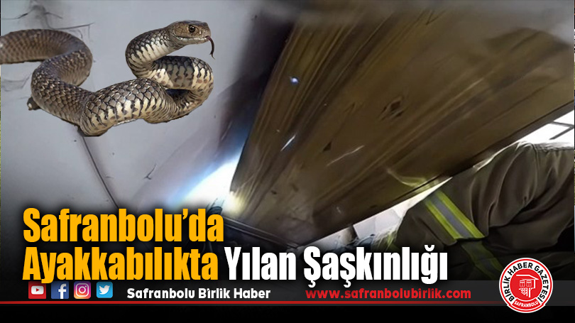 Safranbolu’da Evin Ayakkabılığında Yılan Paniği