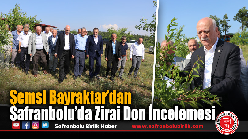 Şemsi Bayraktar’dan Safranbolu’da Zirai Don İncelemesi