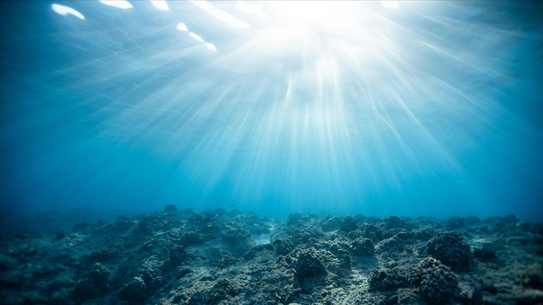 Okyanuslarda ışığın ulaştığı alanların yüzde 20’sinden fazlasının azaldığı saptandı