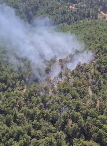 Denizli’de orman yangınına havadan ve karadan müdahale ediliyor