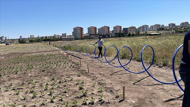 Üniversite ve fabrikaların atık suyu ile gıda atıkları ekonomiye kazandırılıyor