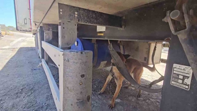 Şırnak’ta aracında 30 kilo uyuşturucuyla yakalanan şahıs tutuklandı