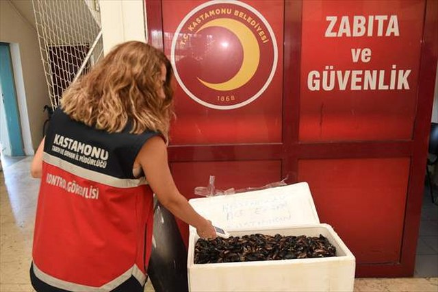 Kastamonu’da sağlıklı koşullarda olmadığı için el konulan 45 kilogram midye imha edildi