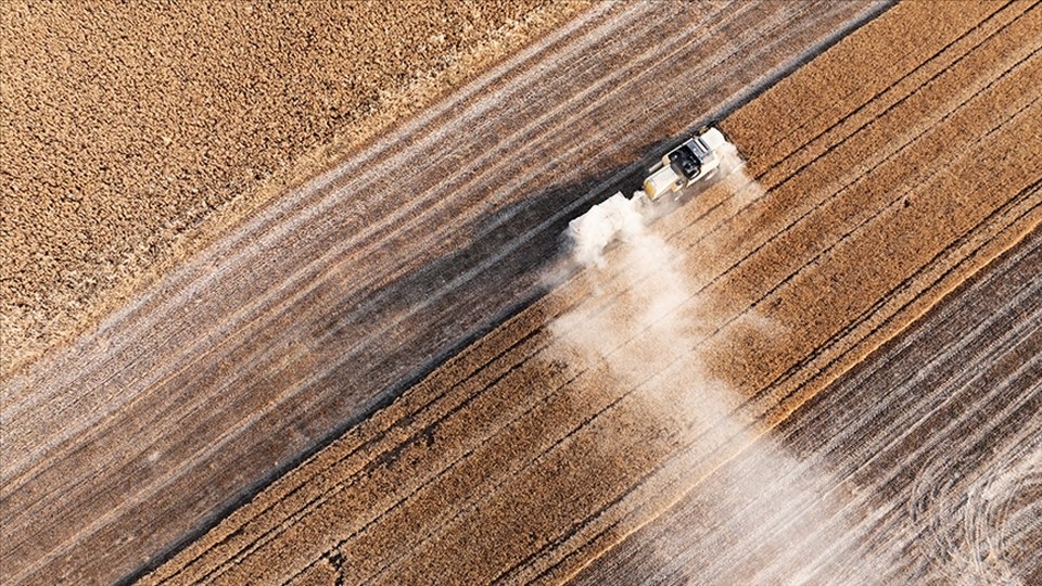 Çiftçilere yaklaşık 263 milyon lira tarımsal destekleme ödemesi yapılacak