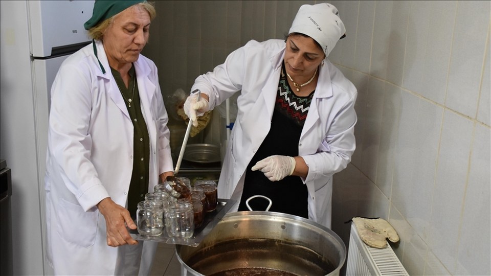 Ordu’da kooperatif çatısı altında üretim yapan kadınların hikayesi kayıt altına alındı