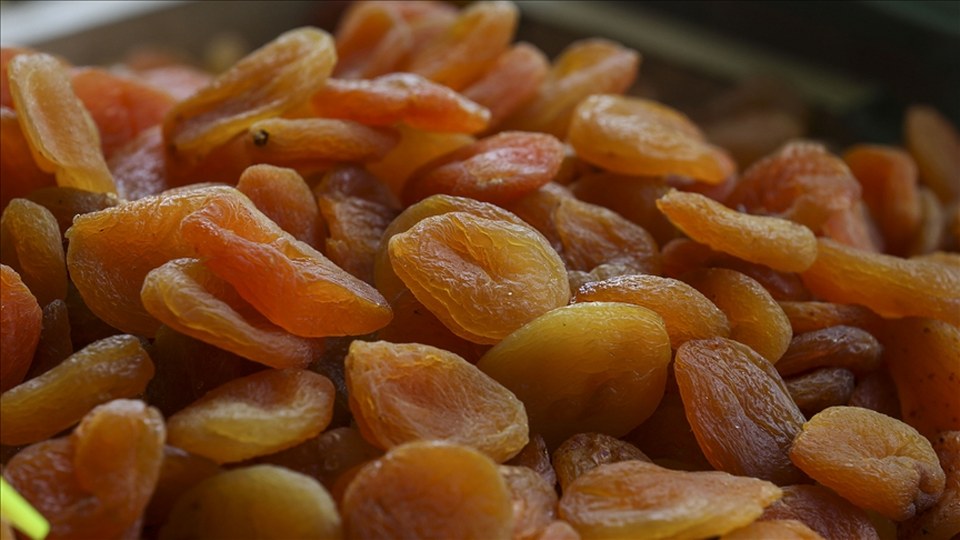 Türkiye’den yılın ilk yarısında 151 milyon dolarlık kuru kayısı ihraç edildi