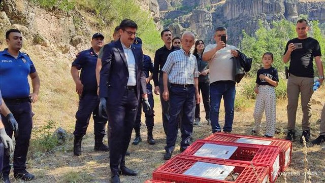 Bolu’da 600 kınalı keklik doğaya bırakıldı