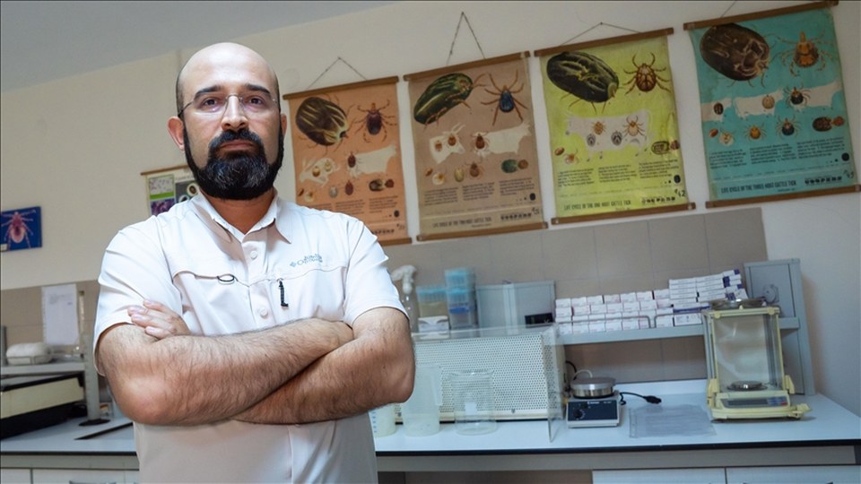 Uzmanından “Kene riski şehirlerden çok kırsalda yüksek” uyarısı