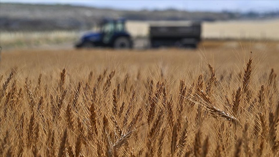 Türkiye tarımsal hasılada rekor kırarak dünyada ilk 7 ülke arasına girdi