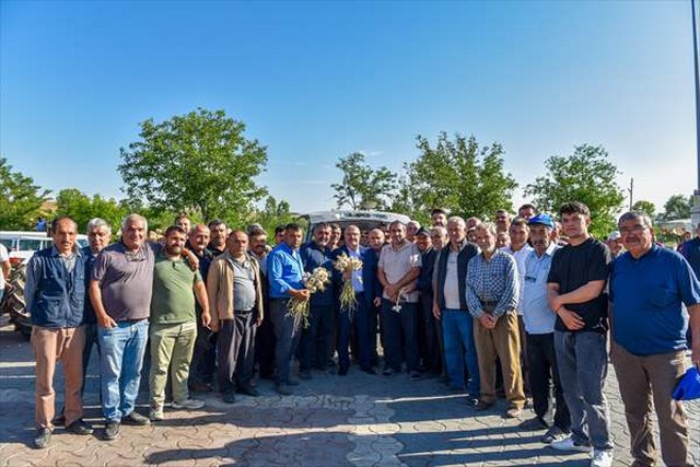 Kastamonu’da hasadın ardından Taşköprü Sarımsak Pazarı açıldı