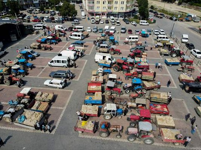 Taşköprü sarımsak pazarında yoğunluk yaşanıyor