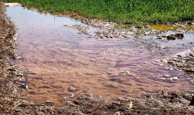 Şanlıurfa’da tarımsal su krizi derinleşiyor