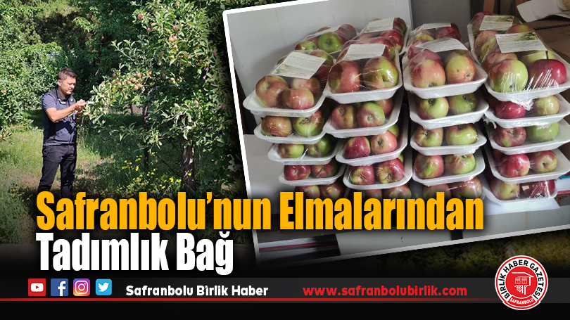 Safranbolu’nun Elmalarından Tadımlık Bağ