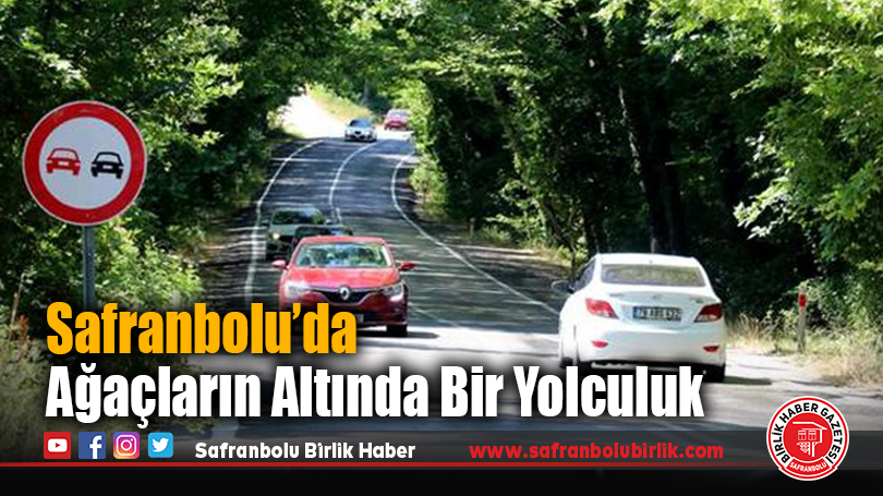 Safranbolu’da Ağaçların Altında Bir Yolculuk