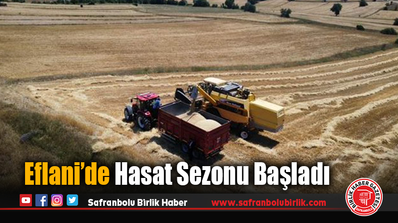Eflani’de Hasat Sezonu Başladı