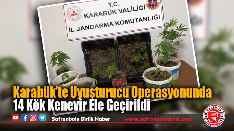 Karabük’te Uyuşturucu Operasyonunda 14 Kök Kenevir Ele Geçirildi