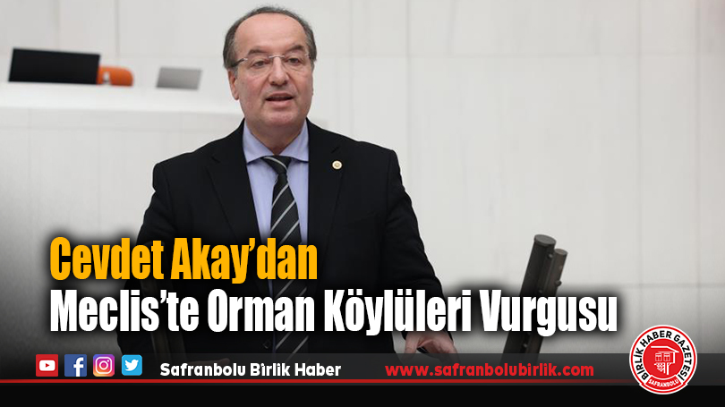 Cevdet Akay’dan Meclis’te Orman Köylüleri Vurgusu