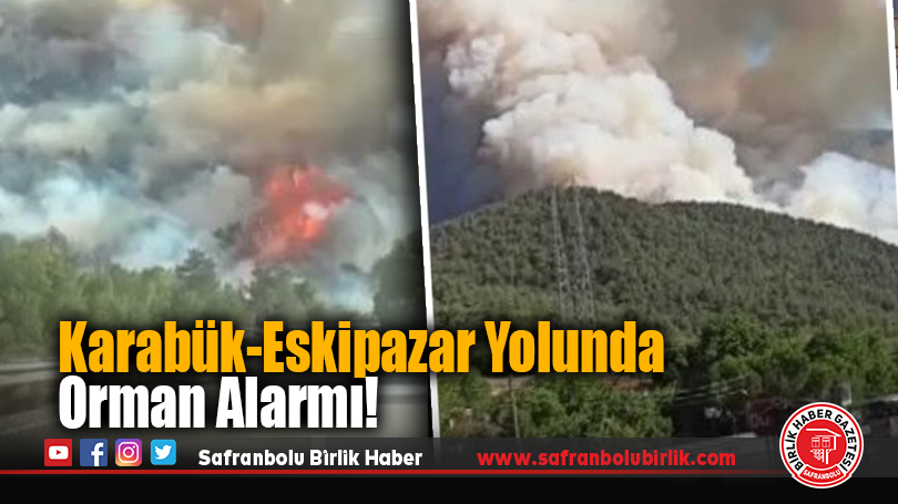 Karabük’te Ormanda Yangın Paniği!