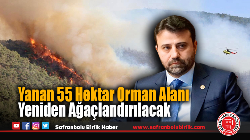Yanan 55 Hektar Orman Alanı Yeniden Ağaçlandırılacak