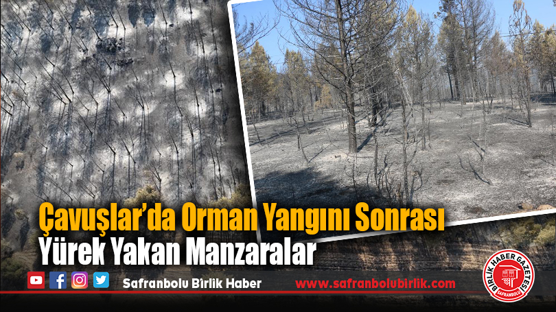 Çavuşlar’da Orman Yangını Sonrası Yürek Yakan Manzaralar