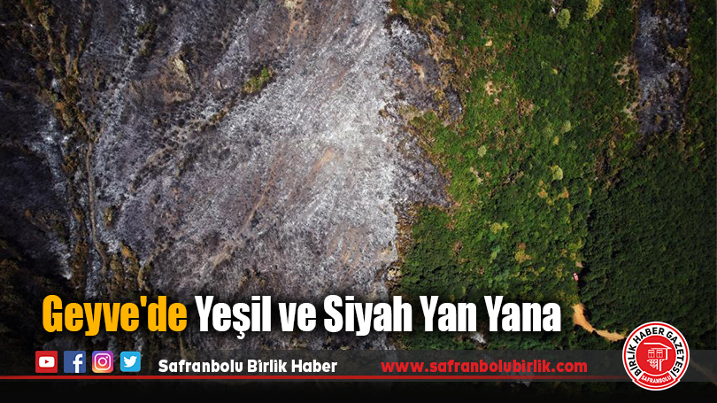 Geyve’de Yeşil ve Siyah Yan Yana