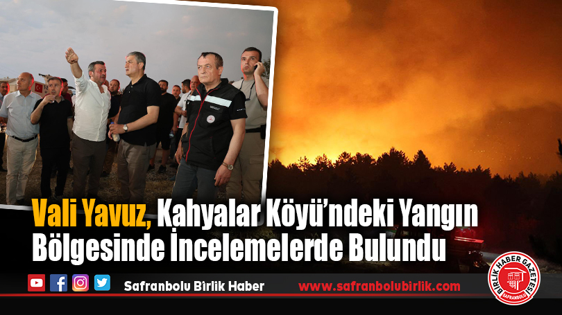 Vali Yavuz, Kahyalar Köyü’ndeki Yangın Bölgesinde İncelemelerde Bulundu