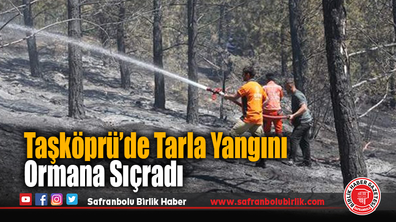 Taşköprü’de Tarla Yangını Ormana Sıçradı