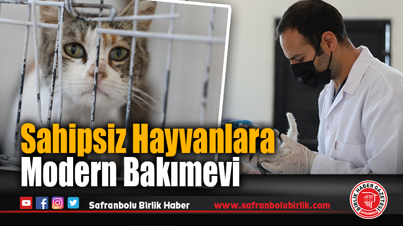Safranbolu’da Sokak Hayvanları İçin 12.500 Metrekarelik Şefkat Yuvası