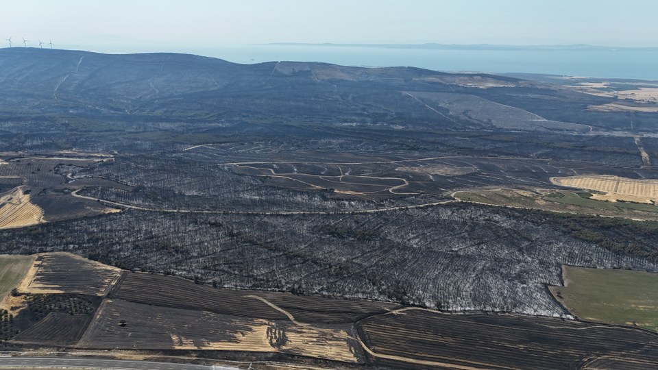 Tekirdağ’daki orman yangınında Çanakkale’de 119 futbol sahası büyüklüğünde alan yandı