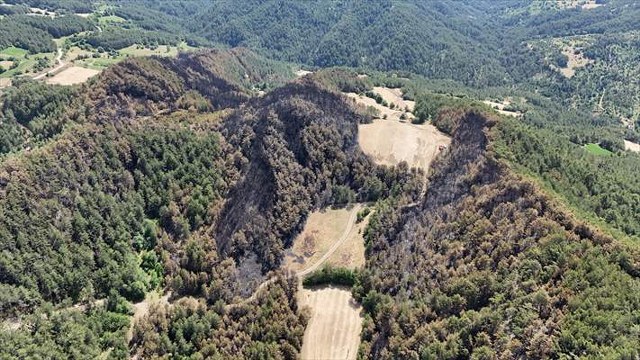 Bolu Göynük’teki orman yangınında 35 hektarlık alan zarar gördü