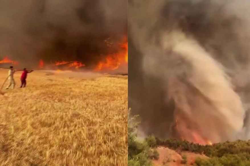 Orman yangınının en çarpıcı görüntüsü: Alevler adeta hortum oluşturdu