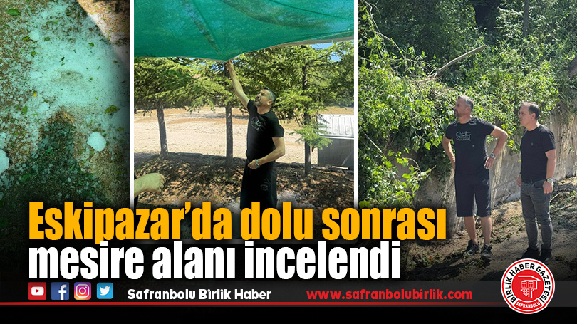 Eskipazar’da Mesire alanındaki zarar yerinde incelendi