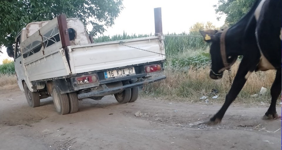 Böyle vicdansızlık görülmedi