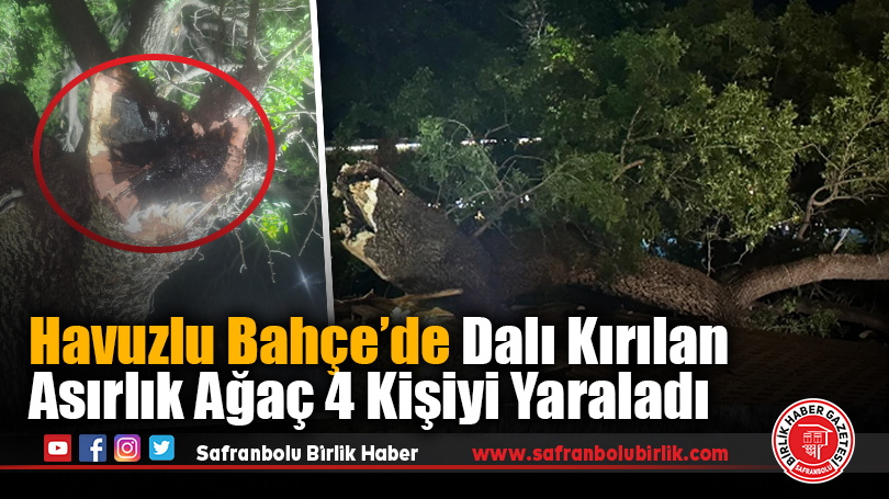 Havuzlu Bahçe’de Dalı Kırılan Asırlık Ağaç 4 Kişiyi Yaraladı